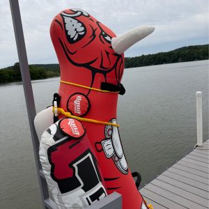 Aqua Bull (seats 2)